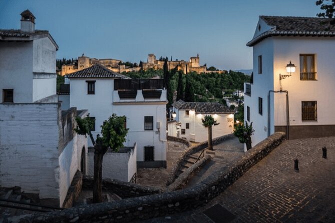 Private Transfer From Málaga Hotels to Granada - Transportation Details