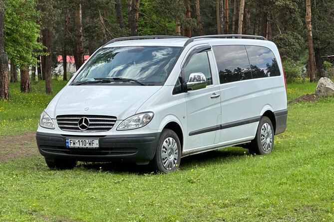 Private Transfer From Tbilisi Airport to Tbilisi and Viceversa - Service Overview