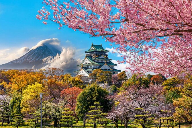 Private Transfer Kobe Airport UKB to Osaka and Kobe City