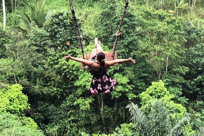 Private Trip Nungnung Waterfall & Bali Swing