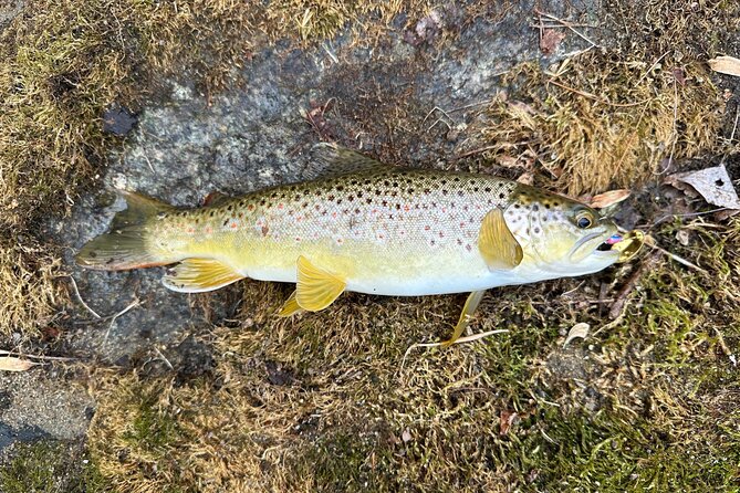 Private Trout Fishing Excursion in Virginia - Pricing Details