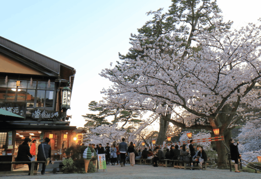 Private & Unique Kanazawa Cherry Blossom Sakura Experience - Overview of the Experience