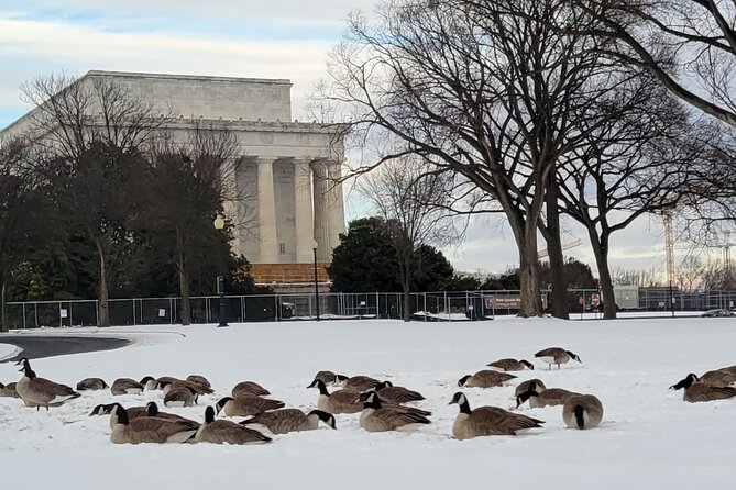 Private Washington DC Tour With Changing of the Guard Ceremony
