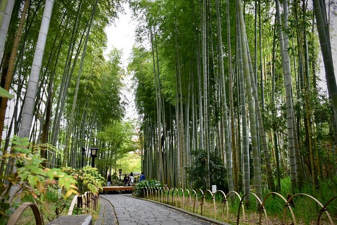 Private West IZU Uncovered Tour Cave Cruise and Monkey Encounter