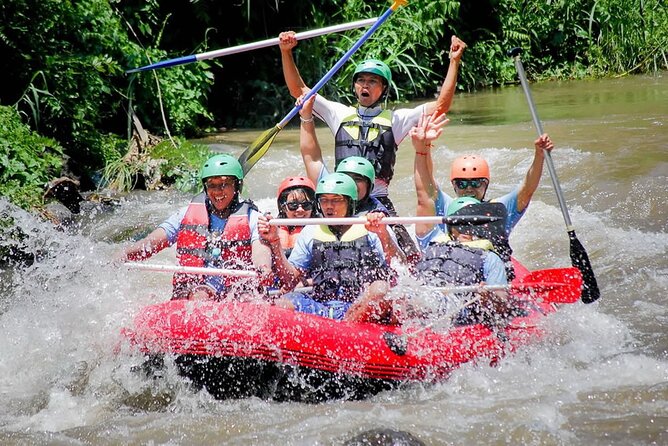 Private White Water Rafting Ubud With Bali Swing Including Hotel Pick up