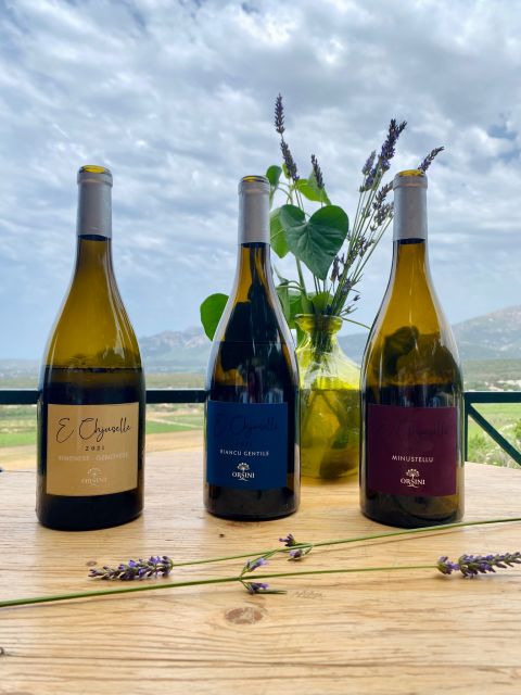 Private Wine Tastings Around Calvi & Île-Rousse
