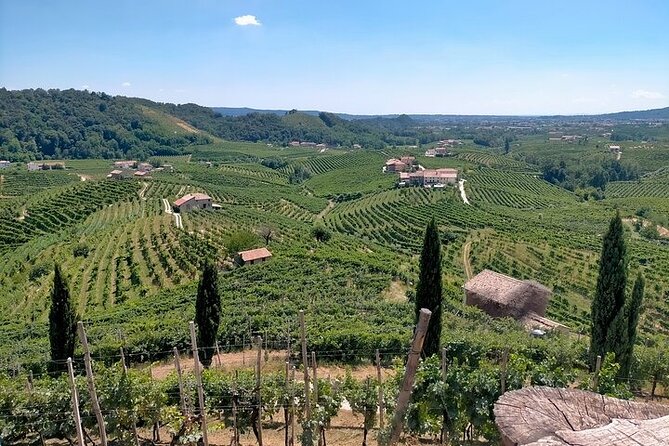 Prosecco Tasting and Lunch on the Hills. Private Tour From Venice - Inclusions