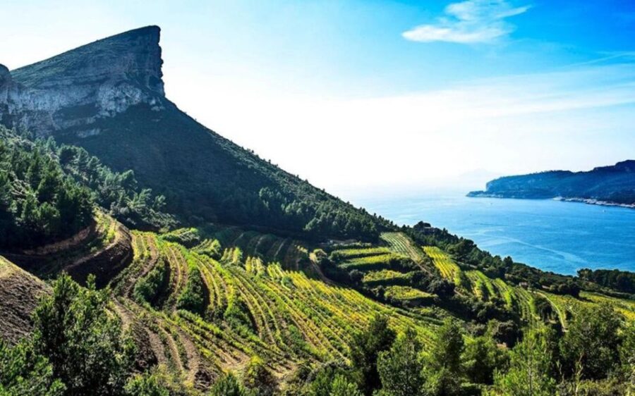 Provence Private Tour: Aix-En-Provence, (Marseille) & Cassis