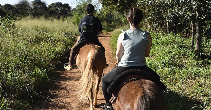 Puerto Iguazu: Jungle Horseback Ride With Guarani Community