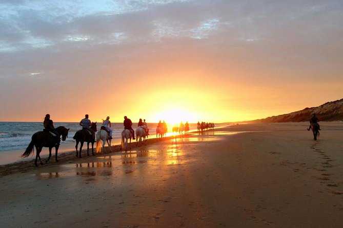 Puerto Plata: Sunset Beach Horseback Riding