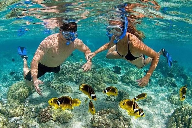 Punta Cana Combo: Diving, Parasailing, Snorkeling & Party Boat (Half Day)