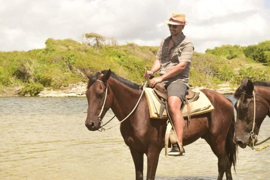 Punta Cana: Horseback Riding Amazing Adventure - Activity Overview