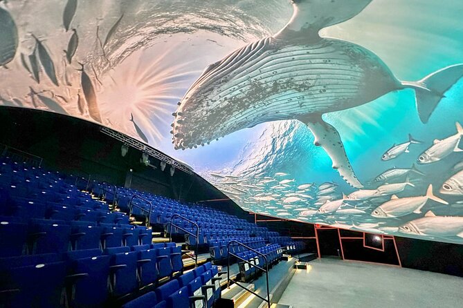 Raptor Encounters and Immersive Dome Experience