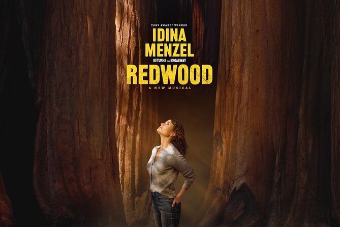 Redwood Starring Idina Menzel on Broadway Ticket