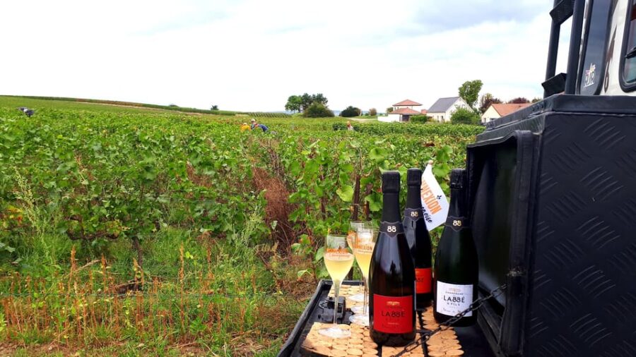 Reims: The Unmissable Tradition & Panoramic Tasting - Activity Overview