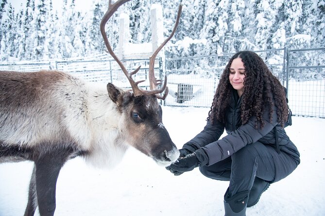Reindeer and Snowmobile Day Trip to Borealis Basecamp With Lunch - Experience Overview