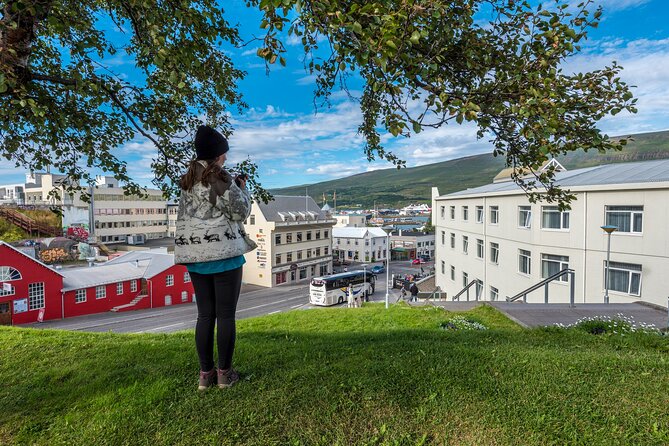 Revel in Reykjavik: Unveiling Iceland’s Charismatic Capital