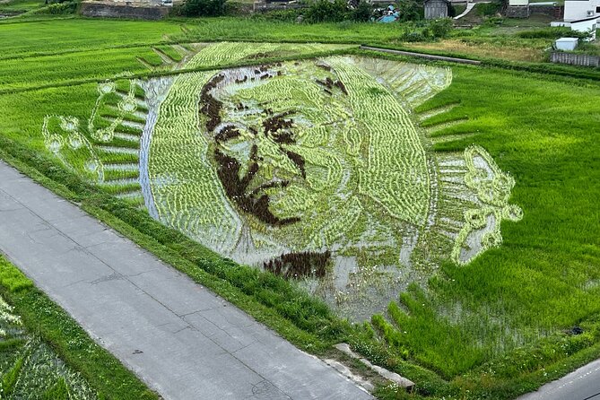 Rice Paddy Art Half Day Tour in Aomori