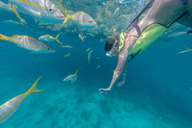 Sail, Snorkel, Picnic Lunch and Open Bar From Frenchmans Reef
