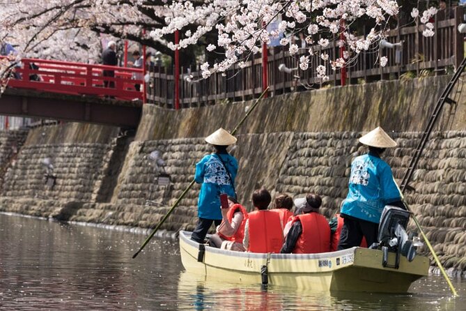 Sakura 1 Day Tour With Charter Train and Boat From Nagoya - Tour Overview