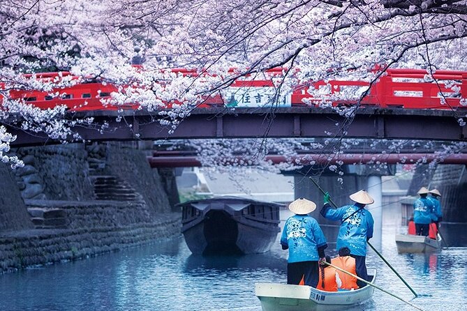 Sakura Magic and Nabana No Sato Day Tour From Osaka