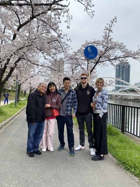 Sakura Picnic Hanami in Osaka – Spring Only