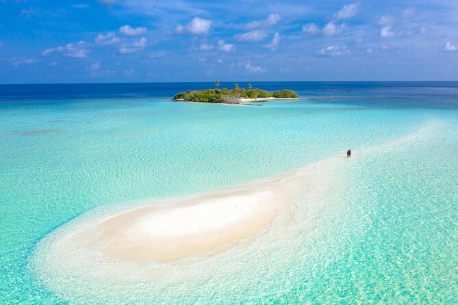 Sandbar Adventure From Key West