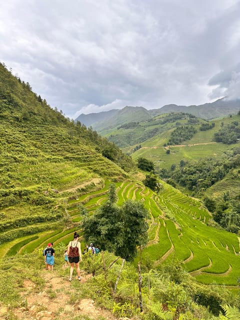 SAPA TREKKING, RICE FIELDS, LOCAL VILLAGES, BAMBOO FOREST