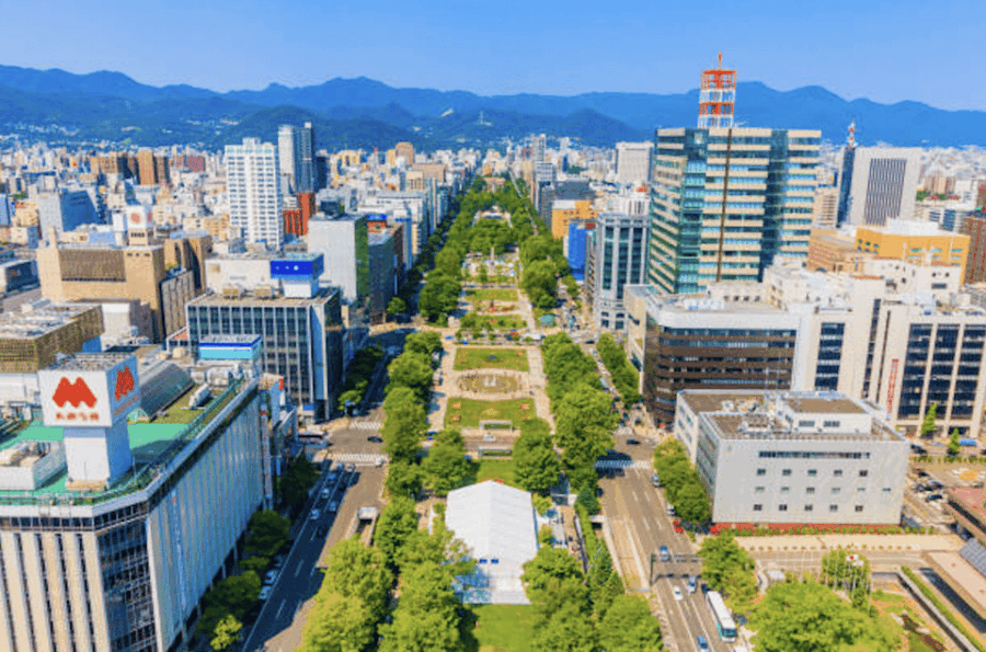 Sapporo: City Highlights Guided Tour With Local Guide - Tour Overview and Pricing