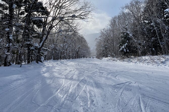 Sapporo Private Ski/ Snowboard Lesson With Pick-Up Service