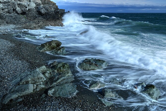 Scenic Coast and Wildlife Tour - Whats Included in the Tour