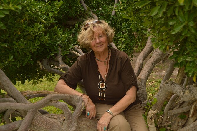 Sedona Soul Tour With Shamanic Guide - Overview of the Sedona Soul Tour