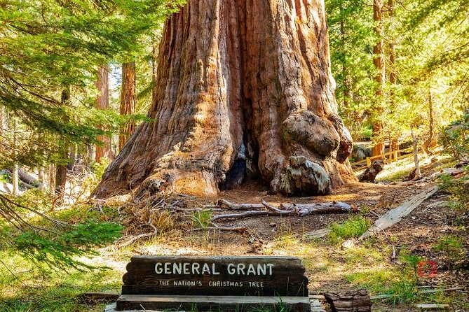 Self-Guided Audio Driving Tour in Sequoia and Kings Canyon