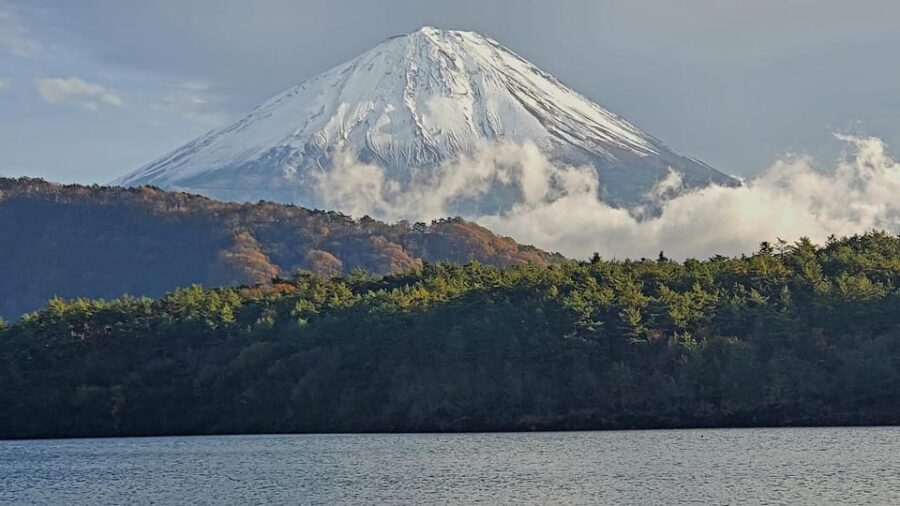 Shimizu Port: Mount Fuji Private Tour - Tour Overview and Pricing