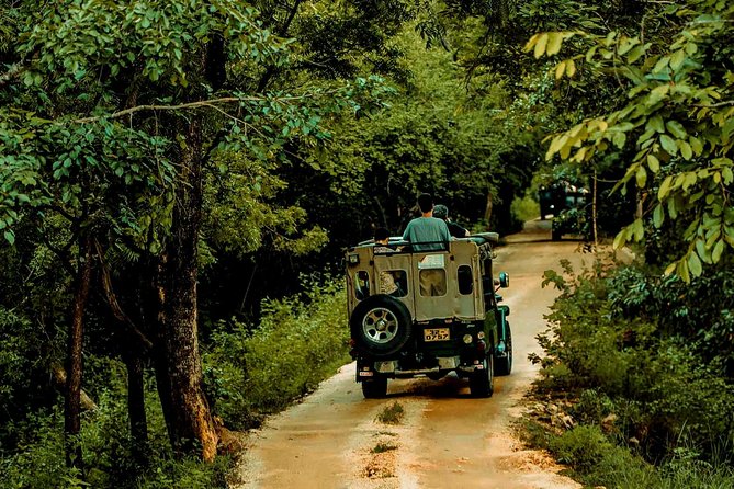 Sigirya Pidurangala & Kaudulla Sri Lanka “The Golden Voyage”