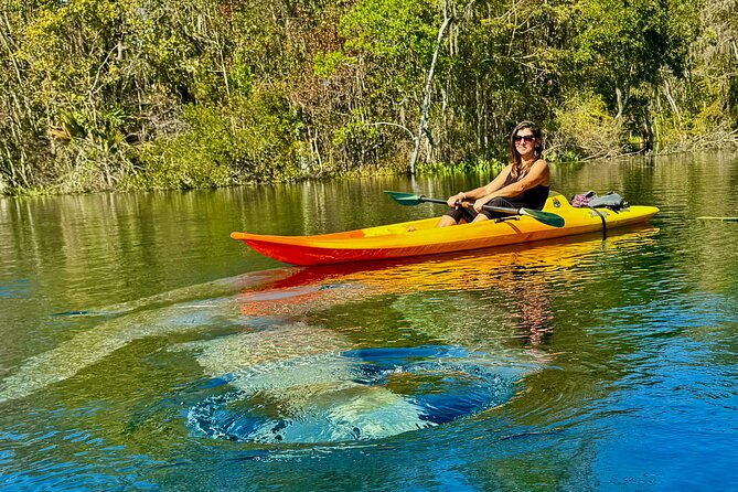 Silver Springs Premium Florida Manatee & Wildlife Experience - Overview