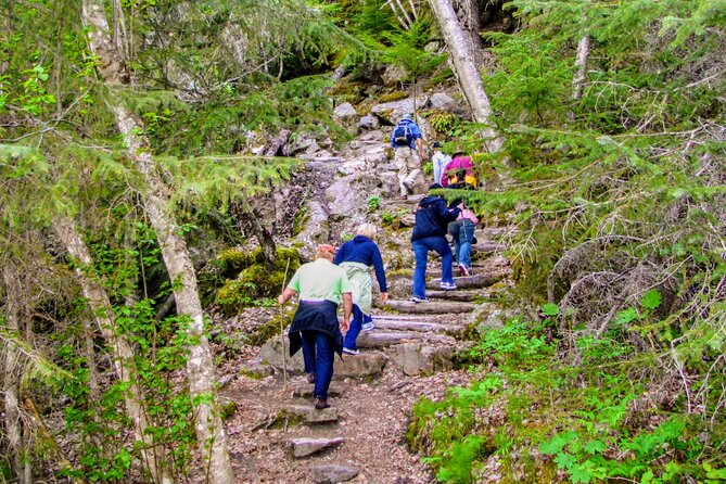 Skagway Shore Excursion Chilkoot Trail Hike and Float Tour