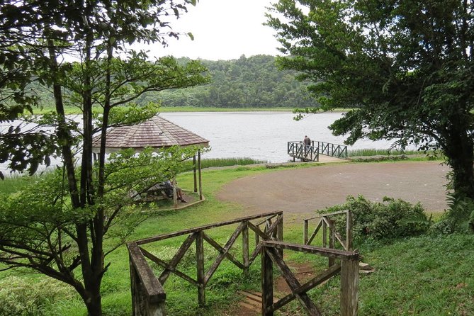 Small-Group Adventure Trek in Grand Etang National Park