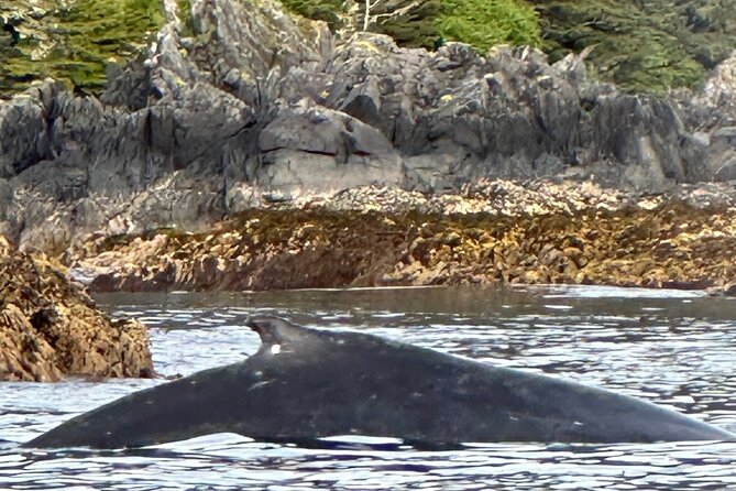 Small Group Boat Tour of Sitka