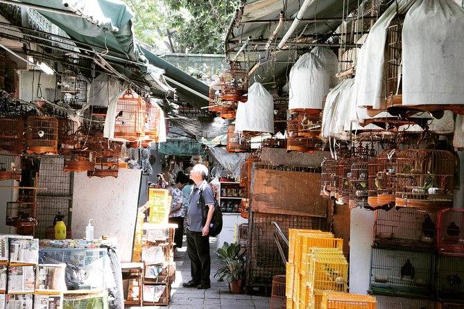 Small-Group Tour: Hong Kong Local Markets Hopper [PROMOTION]
