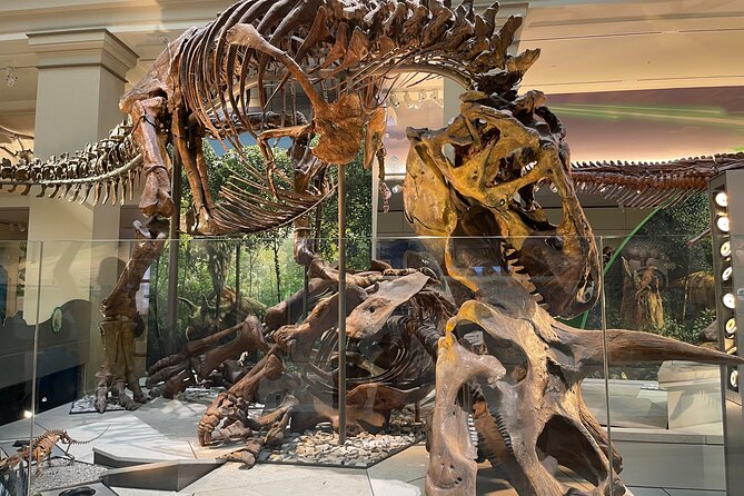Smithsonian Natural History Museum Tour Review