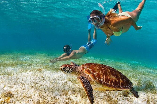 Snorkeling Activity With Boat Ride in Montego Bay - Overview of the Experience