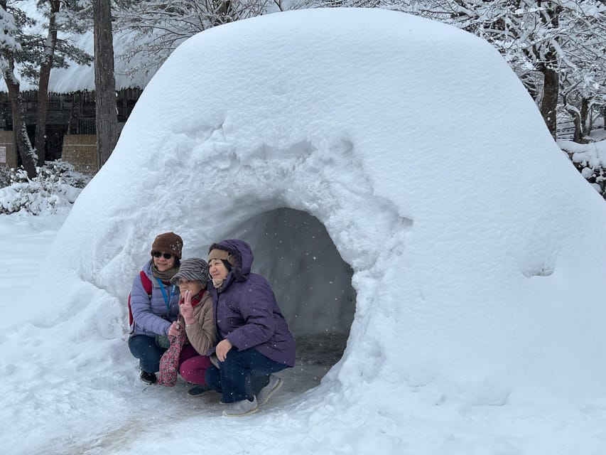 Snow Monkey Park Private Tour To-and-From Tokyo up to 12