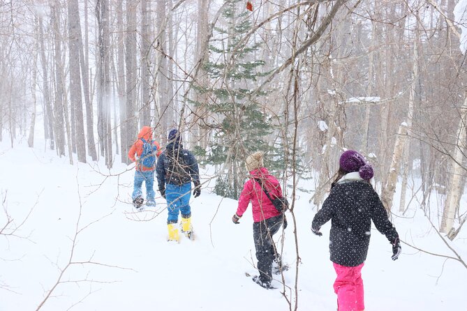 Snowshoe Tours in Niseko Explore Beautiful Snowscapes Adventure