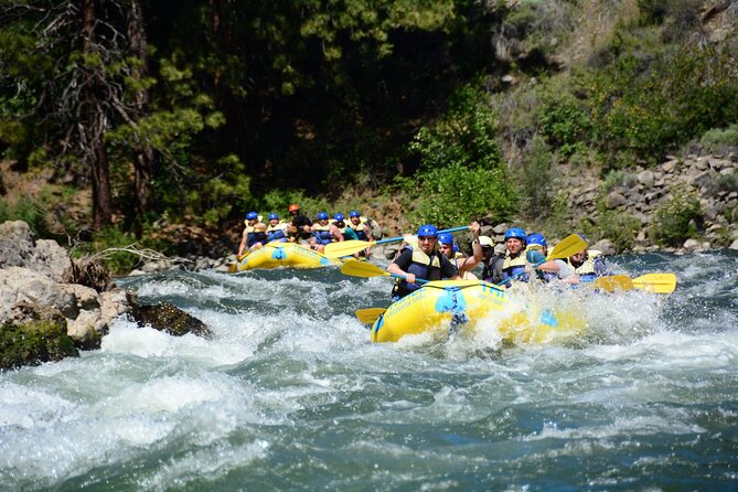 South Fork, American River: Chili Bar (Class III+ Whitewater)