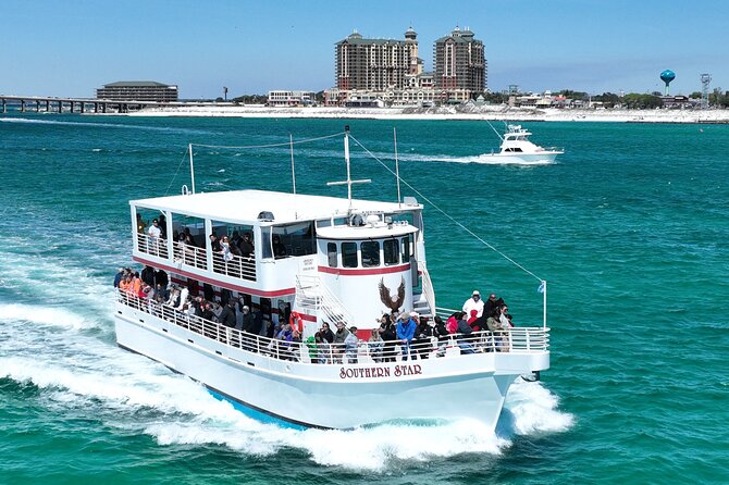 Southern Star Dolphin Cruise - Overview and Experience