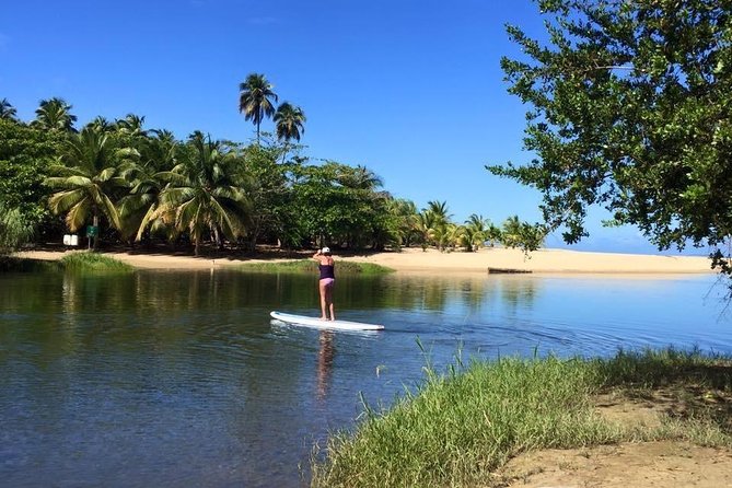 Stand-Up Paddleboarding Adventure