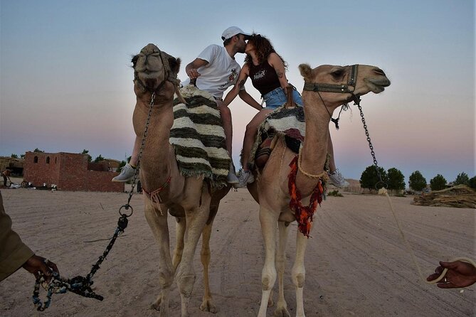 Star Watching in the Desert