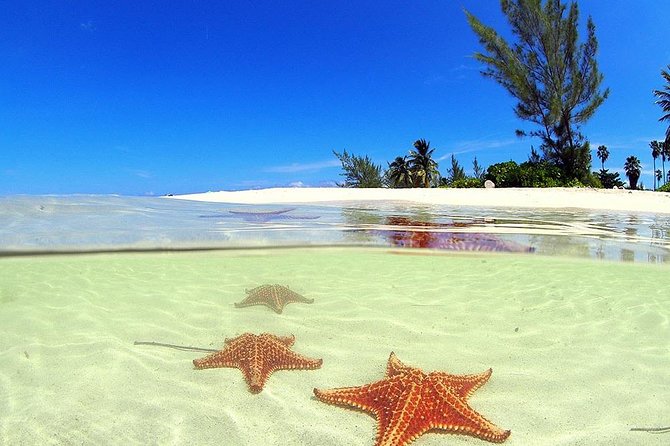 Starfish and Stingray City Fun Tour With Reef Snorkeling- 3 Stops