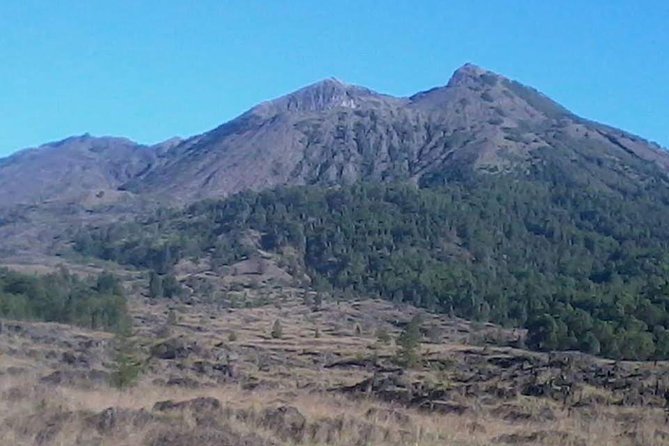 Sunrise Treeking Mount Batur